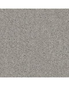 Shaw BREAK AWAY - SOLID Concrete Carpet - SH-5E243-00510