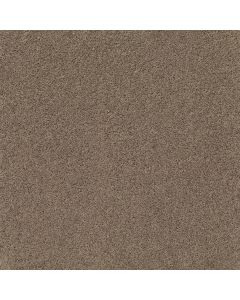 Shaw BREAK AWAY - SOLID Natural Tan Carpet - SH-5E243-00700