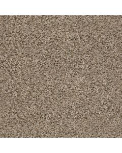 Shaw Break Away - Tonal Blond Wood Carpet - SH-5E244-00113