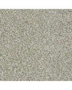 Shaw Break Away - Tonal Snow Peak Carpet - SH-5E244-00120