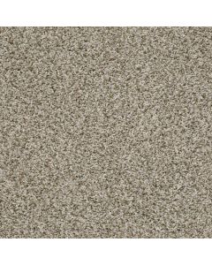 Shaw Break Away - Tonal Natural Ivory Carpet - SH-5E244-00122