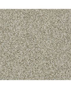 Shaw Break Away - Tonal Stepping Stone Carpet - SH-5E244-00123