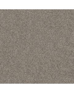 Shaw Break Away - Tonal Exposed Beam Carpet - SH-5E244-00510