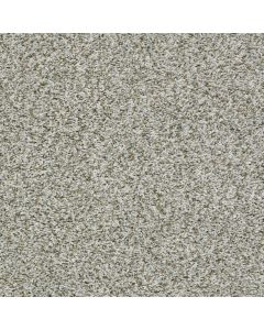 Shaw Break Away - Tonal Chrome Carpet - SH-5E244-00520