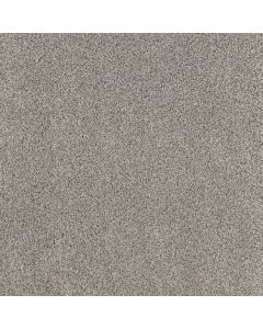 Shaw Break Away - Tonal Windy City Carpet - SH-5E244-00521
