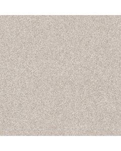 Shaw MAKE IT MINE I Desert Light Carpet - SH-5E255-00121