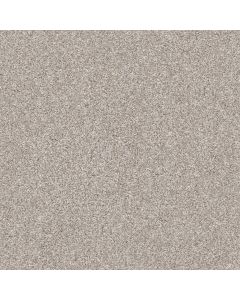 Shaw MAKE IT MINE I Winter Dunes Carpet - SH-5E255-00123