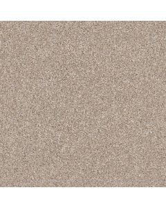 Shaw MAKE IT MINE I Grecian Tan Carpet - SH-5E255-00720