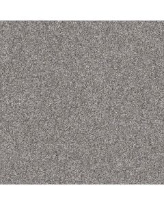 Shaw MAKE IT MINE I Cedar Ridge Carpet - SH-5E255-00721