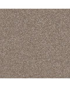 Shaw MAKE IT MINE I Fox Hollow Carpet - SH-5E255-00722