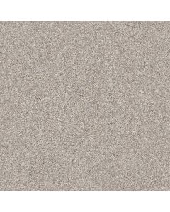 Shaw MAKE IT MINE II Winter Dunes Carpet - SH-5E256-00123