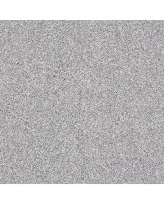 Shaw MAKE IT MINE II Sterling Carpet - SH-5E256-00520