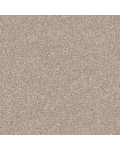 Shaw MAKE IT MINE II Grecian Tan Carpet - SH-5E256-00720