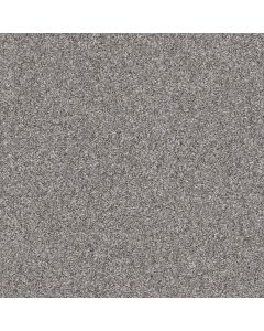 Shaw MAKE IT MINE II Cedar Ridge Carpet - SH-5E256-00721