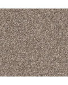 Shaw MAKE IT MINE II Fox Hollow Carpet - SH-5E256-00722