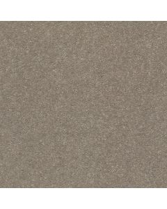 Shaw SOLIDIFY I 15' Natural Contour Carpet - SH-5E263-00104