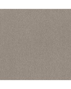 Shaw SOLIDIFY I 15' Greige Carpet - SH-5E263-00106