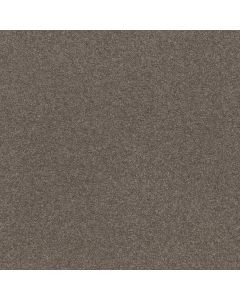 Shaw SOLIDIFY I 15' Pewter Carpet - SH-5E263-00701