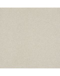 Shaw SOLIDIFY II 15' Minimalist Carpet - SH-5E265-00100