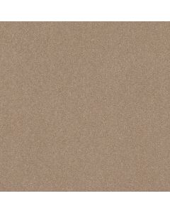 Shaw SOLIDIFY II 15' Raw Lumber Carpet - SH-5E265-00102