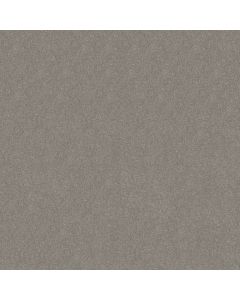 Shaw SOLIDIFY III 12' Taupe Stone Carpet - SH-5E266-00502