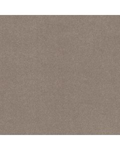 Shaw SOLIDIFY III 12' Tree Bark Carpet - SH-5E266-00700
