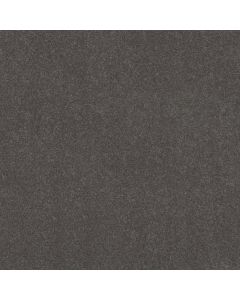 Shaw SOLIDIFY III 15' Iron Carpet - SH-5E267-00501