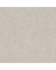Shaw HEROIC Looking Glass Carpet - SH-5E287-00190