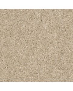 Shaw VALIANT Sweet Cream Carpet - SH-5E288-00102