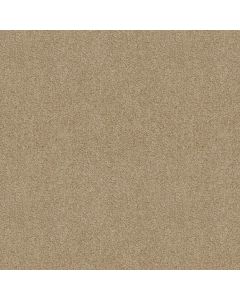 Shaw VALIANT Coronado Carpet - SH-5E288-00105