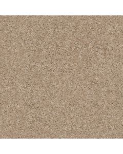 Shaw VALIANT Mohair Carpet - SH-5E288-00113