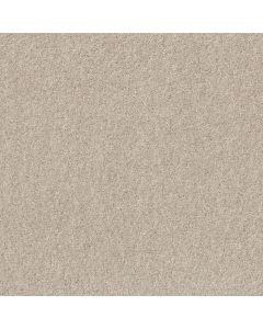 Shaw VALIANT Marble White Carpet - SH-5E288-00190