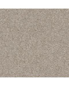 Shaw VALIANT Quiet Moment Carpet - SH-5E288-00191