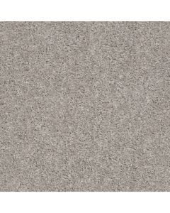 Shaw VALIANT La Paloma Carpet - SH-5E288-00192