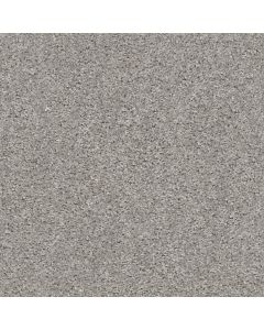 Shaw VALIANT Raindance Carpet - SH-5E288-00591