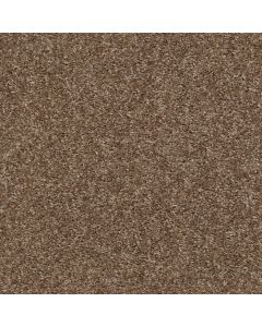 Shaw VALIANT Maple Valley Carpet - SH-5E288-00702