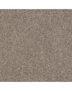 Shaw VALIANT Bashful Carpet - SH-5E288-00790