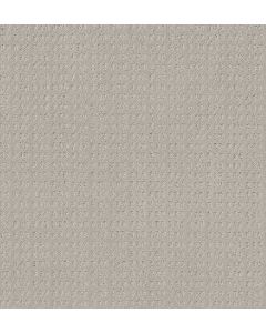 Shaw ESSENTIAL NOW Split Sediment Carpet - SH-5E290-00104