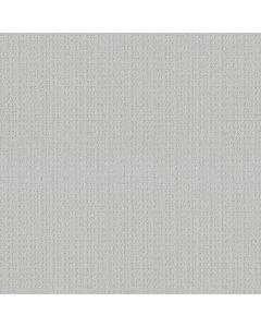 Shaw ESSENTIAL NOW English Streets Carpet - SH-5E290-00105