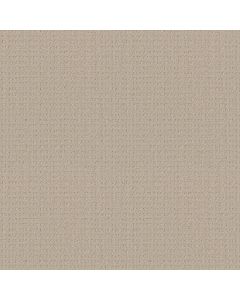 Shaw ESSENTIAL NOW Butter Cream Carpet - SH-5E290-00107