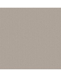 Shaw ESSENTIAL NOW Fossil Path Carpet - SH-5E290-00108