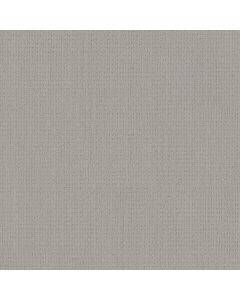 Shaw ESSENTIAL NOW Silver Lining Carpet - SH-5E290-00500