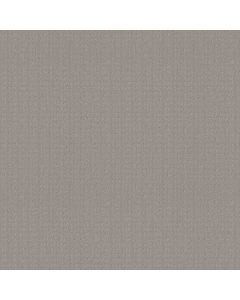 Shaw ESSENTIAL NOW Newstone Haven Carpet - SH-5E290-00502