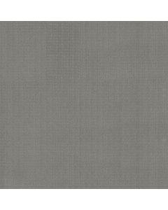 Shaw ESSENTIAL NOW Grey Fox Carpet - SH-5E290-00504