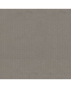 Shaw ESSENTIAL NOW River Run Carpet - SH-5E290-00700