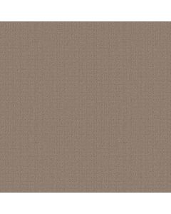 Shaw ESSENTIAL NOW Desert View Carpet - SH-5E290-00701