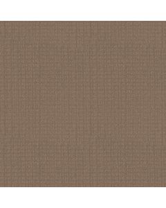 Shaw ESSENTIAL NOW Raw Wood Carpet - SH-5E290-00720