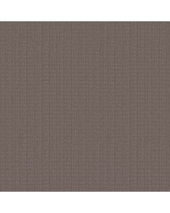 Shaw ESSENTIAL NOW Ridgeview Carpet - SH-5E290-00751