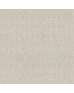 Shaw FORMALIZE Winters Dawn Carpet - SH-5E291-00102