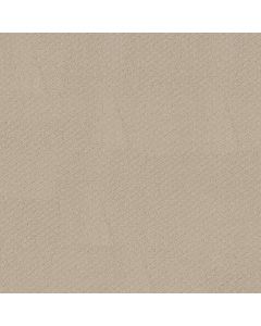 Shaw FORMALIZE Butter Cream Carpet - SH-5E291-00107